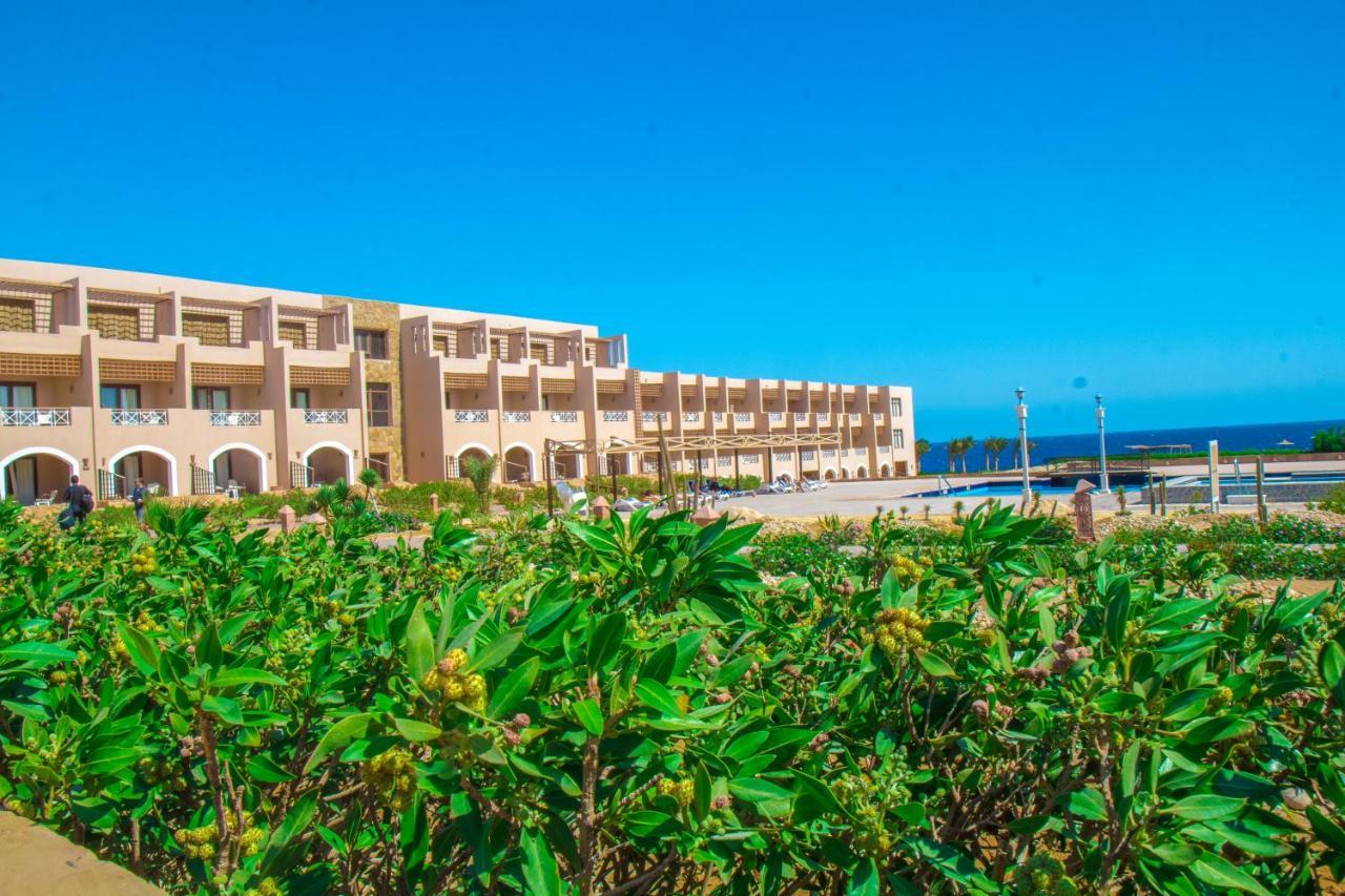 Viva Blue Resort And Diving Sharm El Naga (Adults Only) フルガダ エクステリア 写真