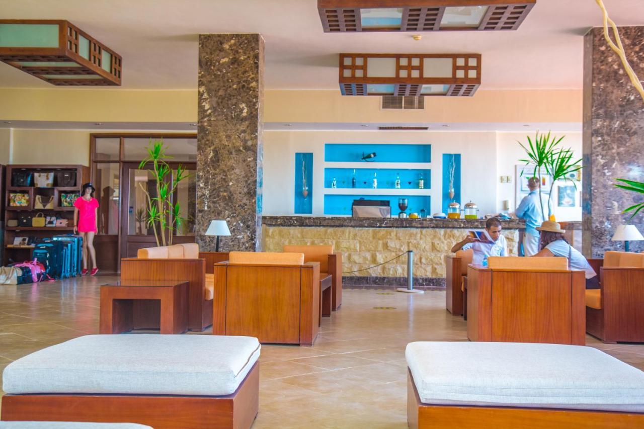 Viva Blue Resort And Diving Sharm El Naga (Adults Only) フルガダ エクステリア 写真