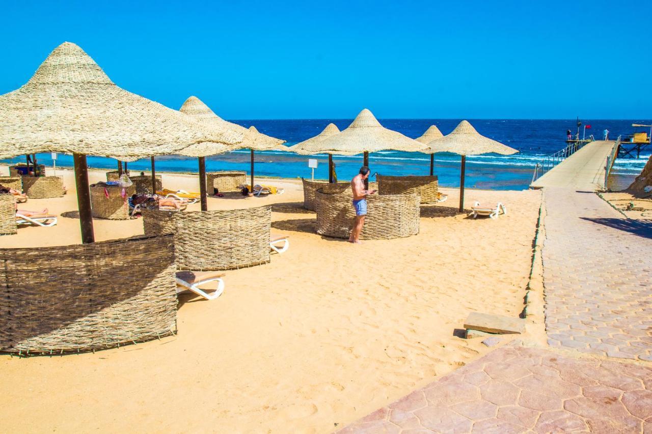 Viva Blue Resort And Diving Sharm El Naga (Adults Only) フルガダ エクステリア 写真