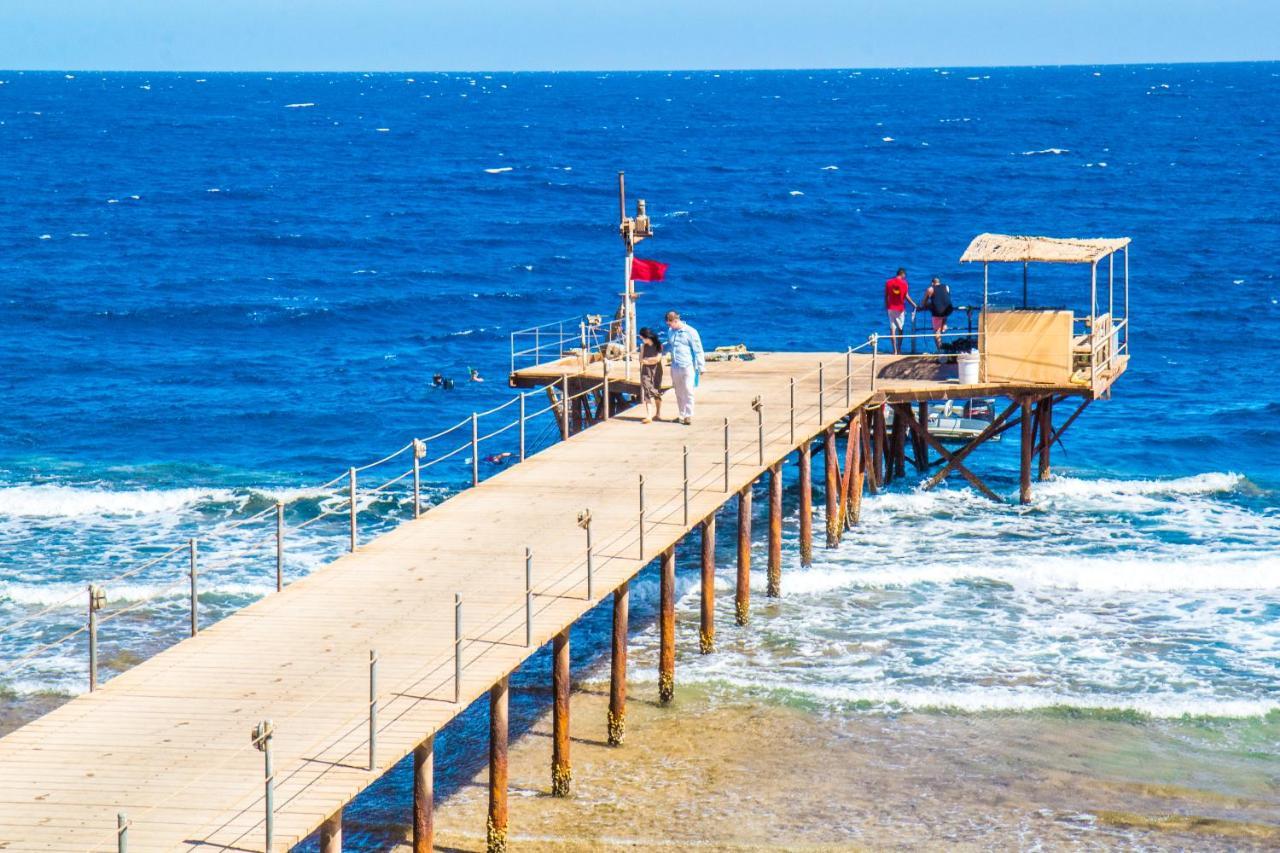 Viva Blue Resort And Diving Sharm El Naga (Adults Only) フルガダ エクステリア 写真