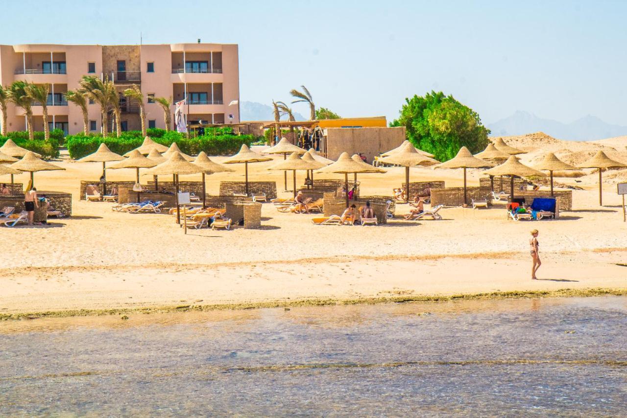 Viva Blue Resort And Diving Sharm El Naga (Adults Only) フルガダ エクステリア 写真