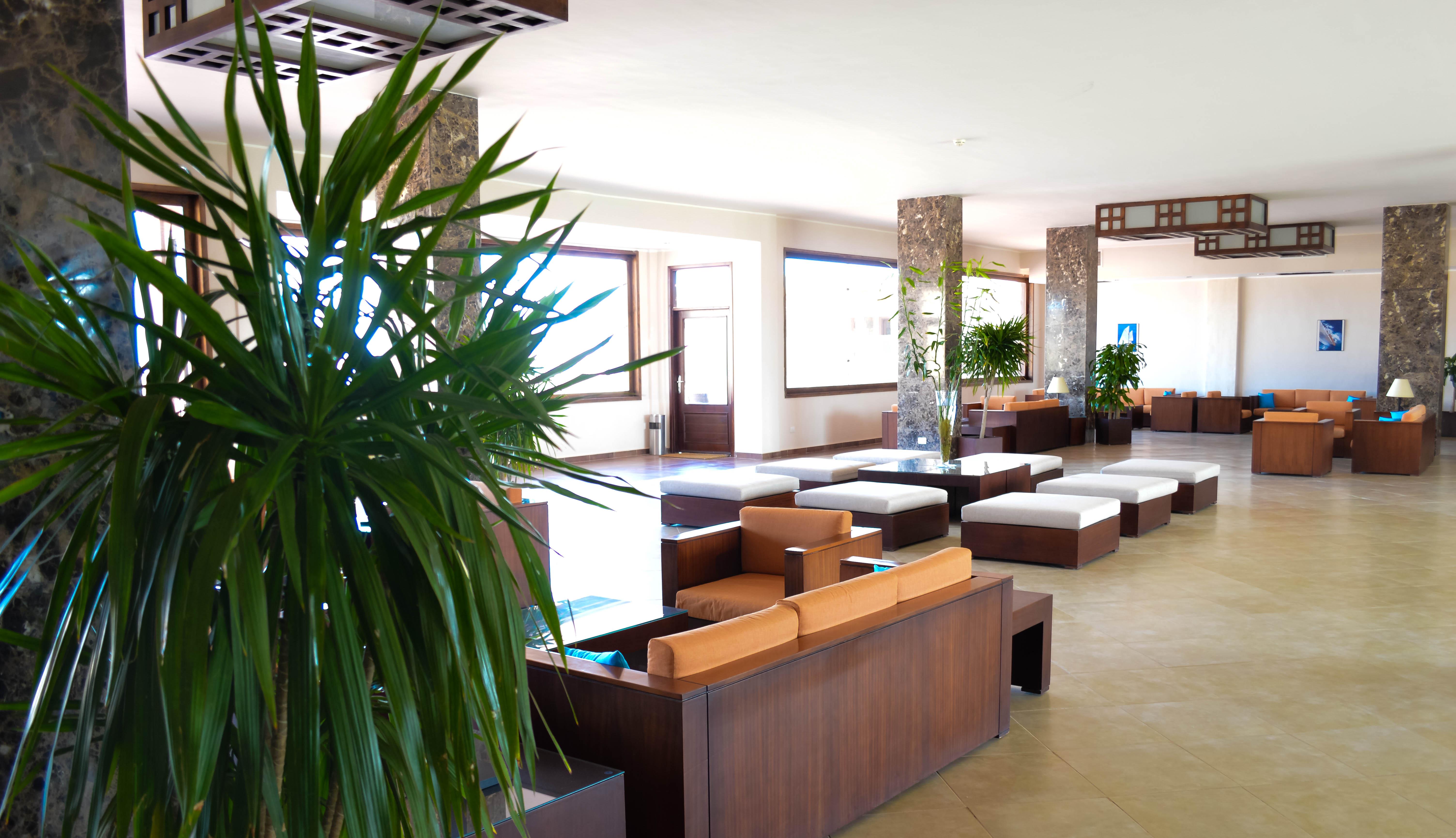 Viva Blue Resort And Diving Sharm El Naga (Adults Only) フルガダ エクステリア 写真