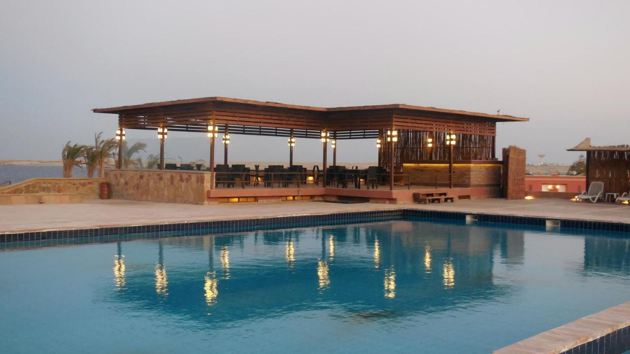 Viva Blue Resort And Diving Sharm El Naga (Adults Only) フルガダ エクステリア 写真